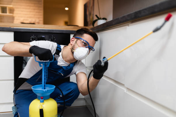 Best Flea Control Services  in Gerald, MO