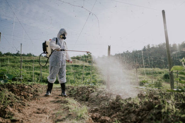 Best Best Pest Control Companies  in Gerald, MO