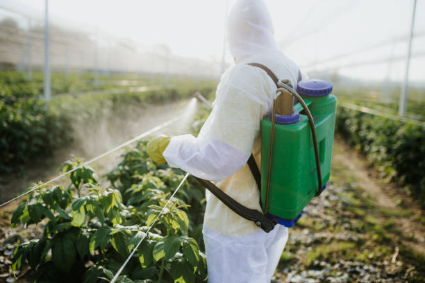 Flea Control Services in Gerald, MO